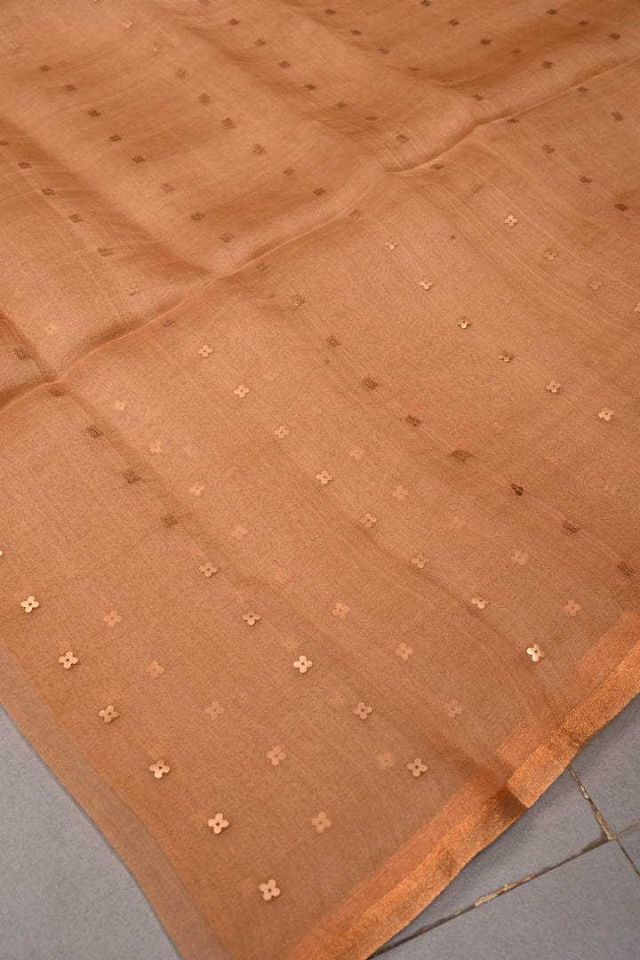 Sandstone Matka Muslin Silk Saree with Pocket Sequins and Minimal Zari Border | SILK MARK CERTIFIED | SHOBITAM