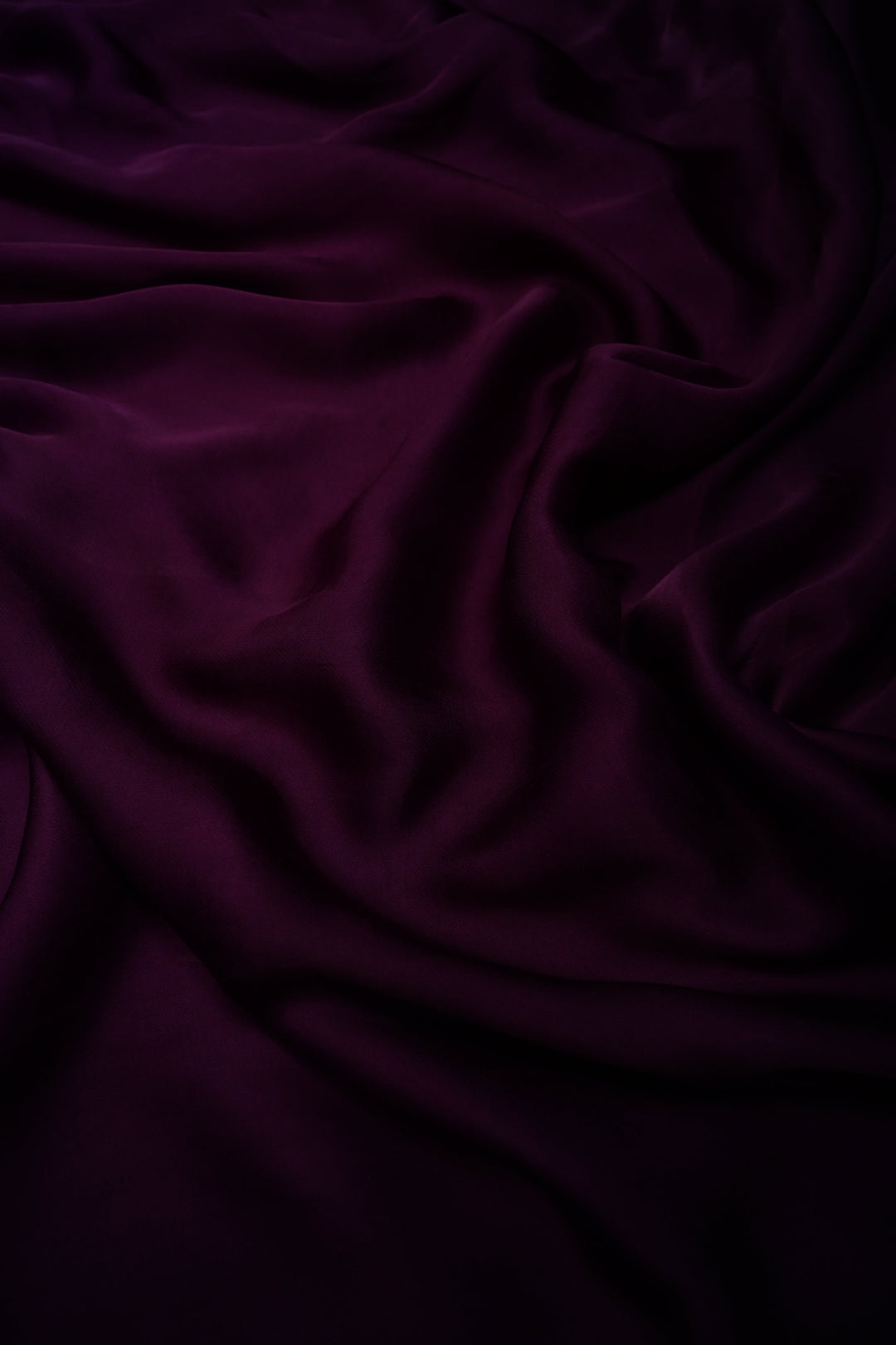 Aubergine Borderless Modal Silk Saree with Lagda Patta Crushed Tissue Pallu | SHOBITAM