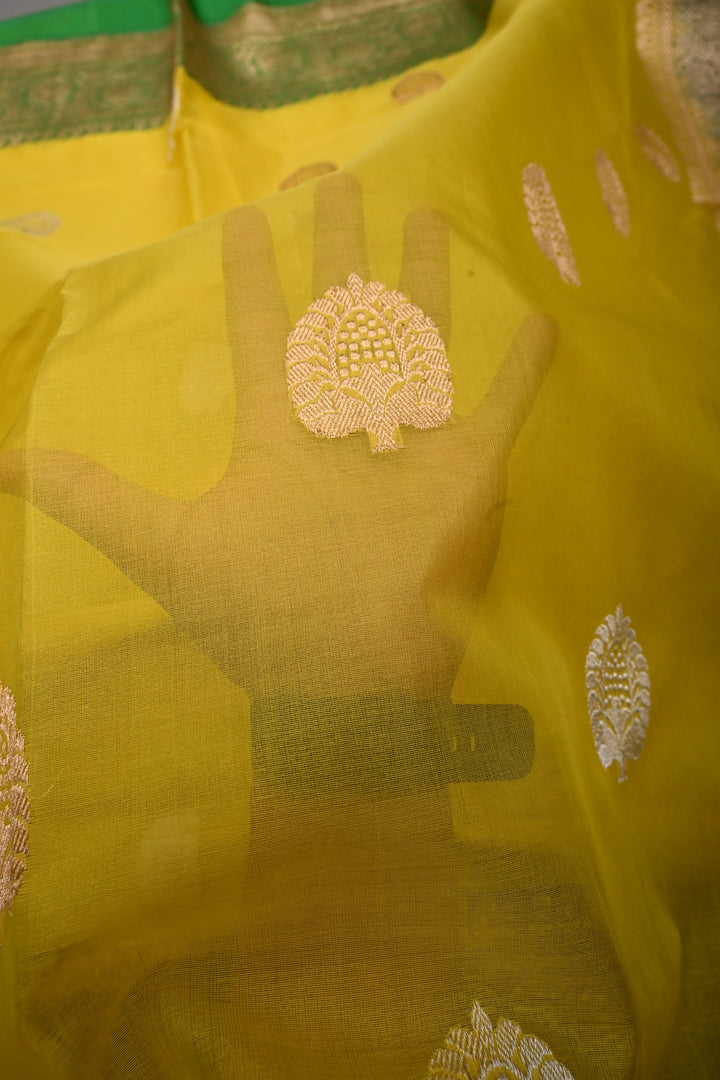 Exquisite Yellow Kora Banarasi Silk Saree with Ganga Jamuna Border and Grand Pallu with Zari | Silk Mark Certified | Shobitam Saree