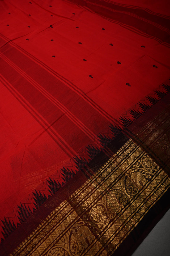 Blood Red Kanchi Cotton Saree with Thread Buttas and Contrast Zari Borders | SHOBITAM