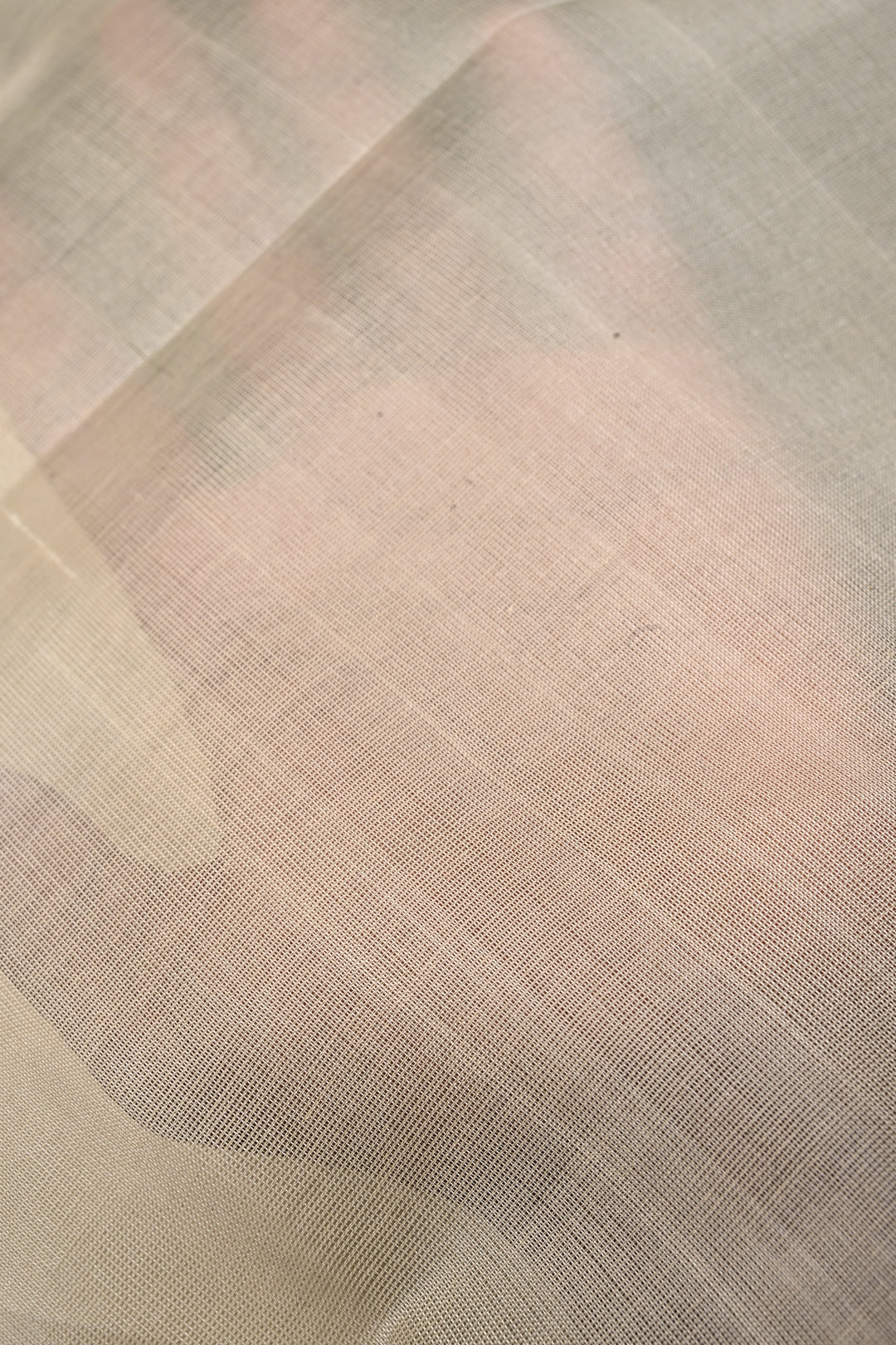 Off White Kanchi Silk Cotton Handloom Saree with  Contrast Zari Border | SHOBITAM