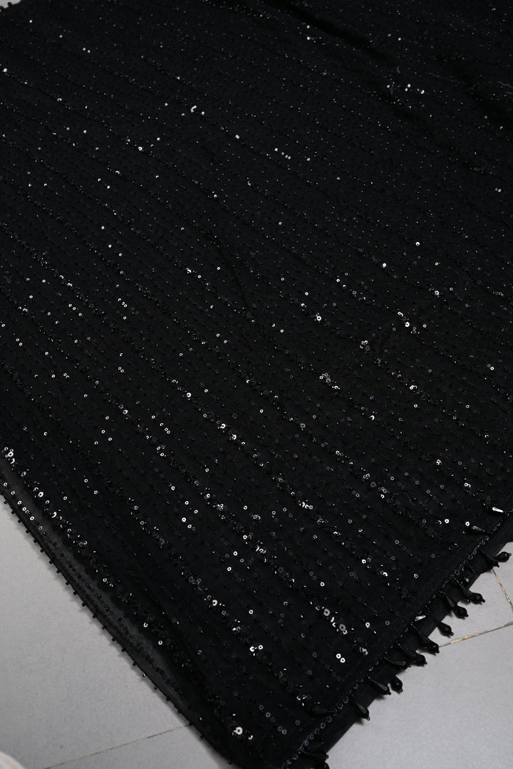 Black Net Saree with Vertical Stripes Embellishments and Dangling Beads Border | SHOBITAM