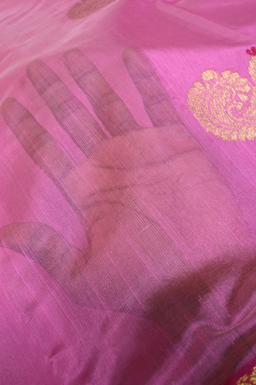 Bubblegum Pink Chanderi Silk Saree with Meenakari  Peacock Zari Buttas and Zari Border | SHOBITAM