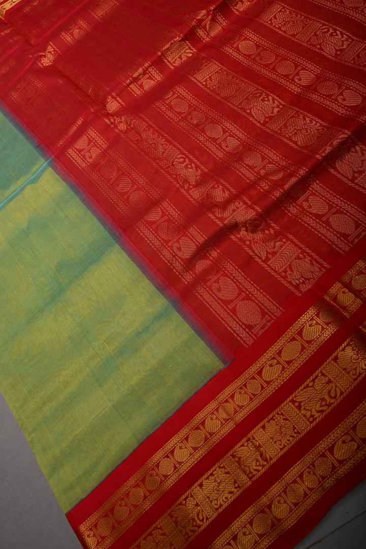 Green-Mustard Dula Tone 9 Yards Madisar Silk Cotton Saree with Contrast Zari Border ,No Blouse Piece
