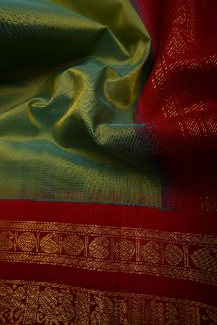 Green-Mustard Dula Tone 9 Yards Madisar Silk Cotton Saree with Contrast Zari Border ,No Blouse Piece