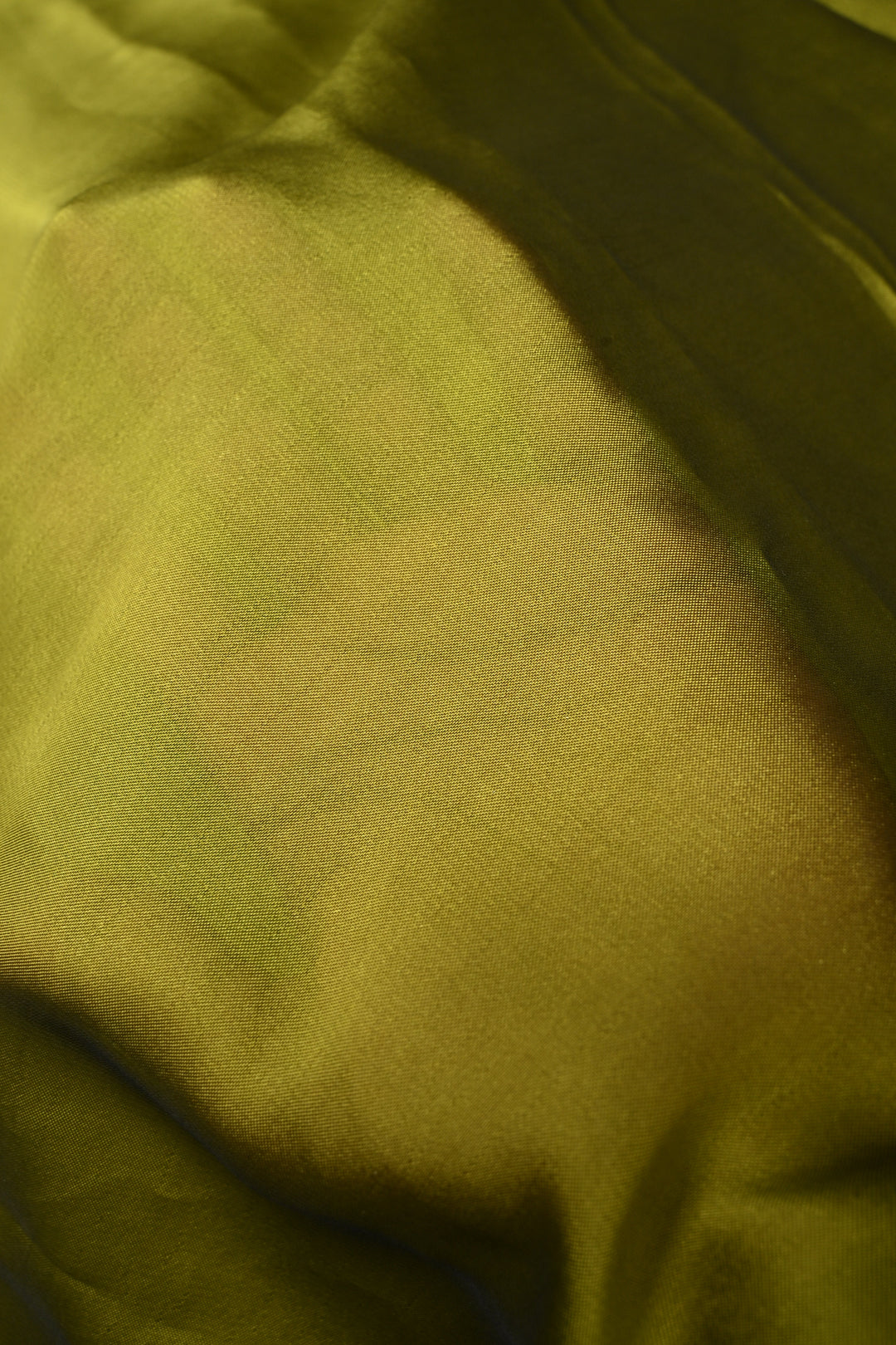 Mehendi Green Butterfly Enchanted Branch Handpainting on Shimmer Georgette Saree, No Blouse Piece