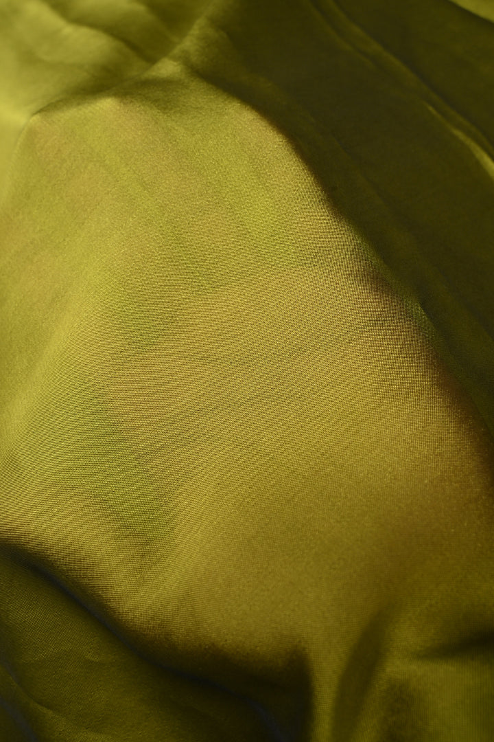 Mehendi Green Butterfly Enchanted Branch Handpainting on Shimmer Georgette Saree, No Blouse Piece