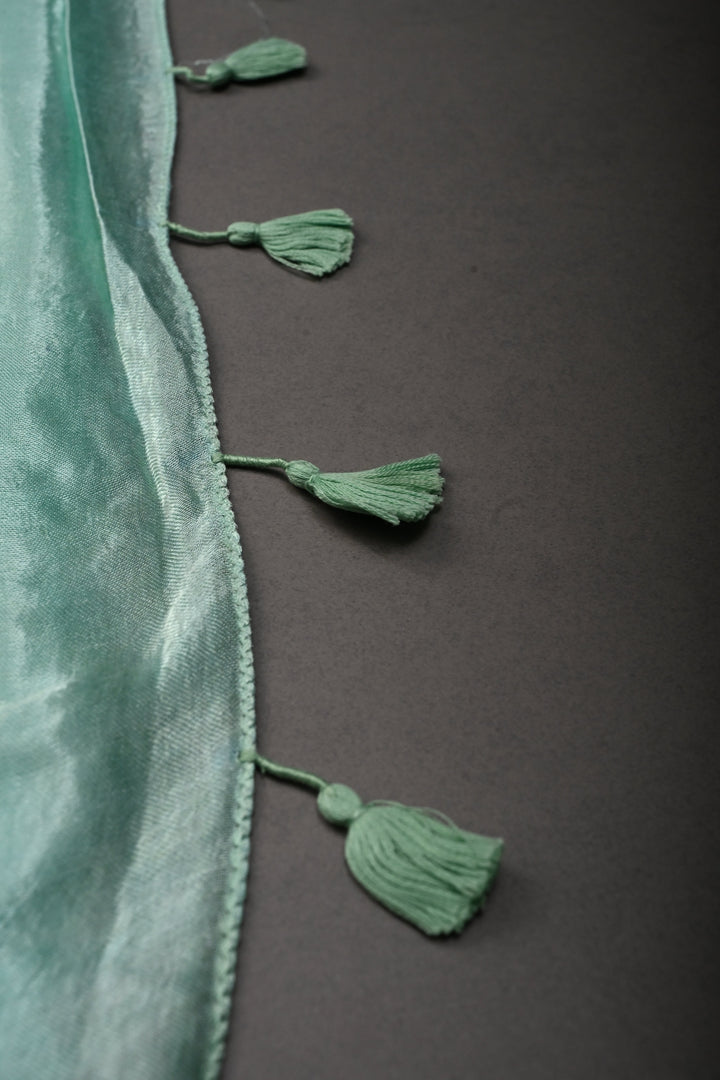 Mint Borderless Modal Silk Saree with Lagda Patta Crushed Pallu | SHOBITAM
