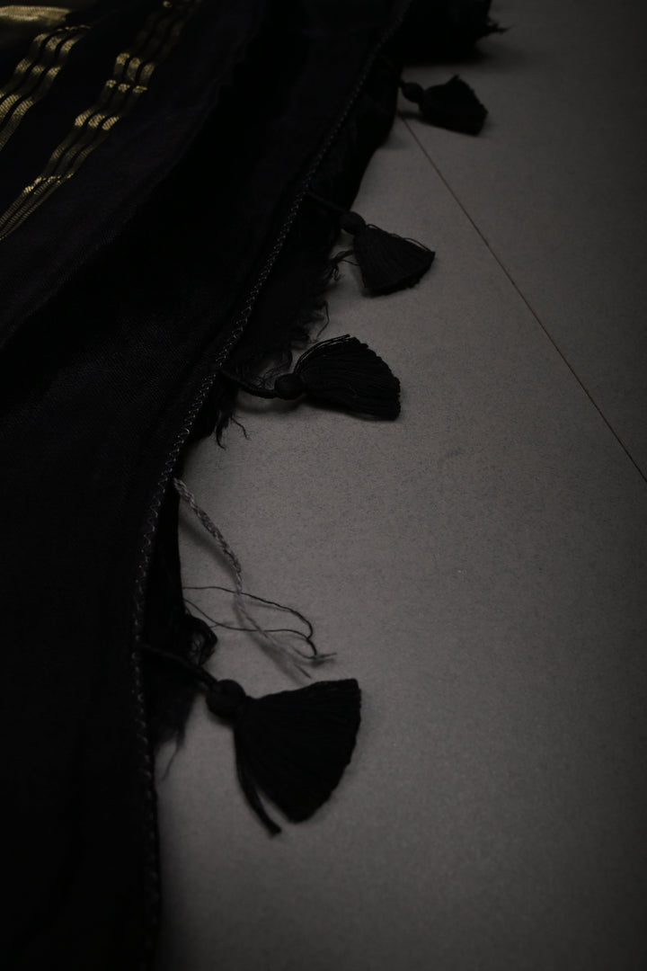 Black Borderless Modal Silk Saree with Lagda Patta Crushed Pallu | SHOBITAM