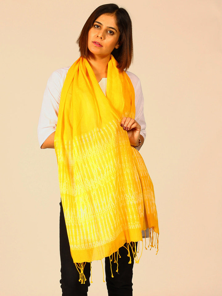Hand Woven Shibori Cotton Stole | SHOBITAM