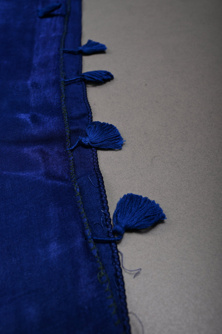 Ink Purple Borderless Modal Silk Saree with Lagda Patta Crushed Pallu | SHOBITAM