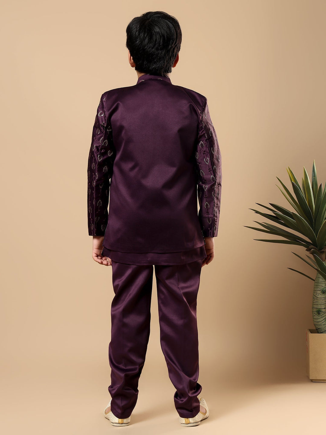 Boys Satin Buti Embroidered Panel Work Sequined Sherwani Set with Trousers and Jacket - Wine | SHOBITAM