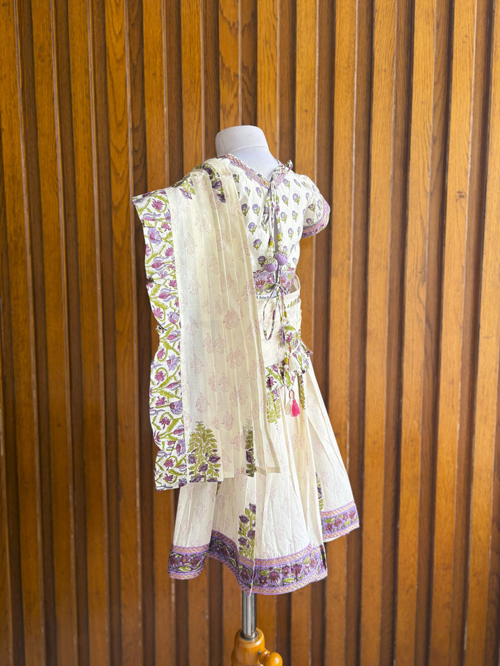 Jamuni Saree Set | SHOBITAM