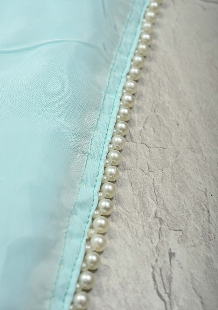 Powder Blue Modal Silk Saree with Floral Hand Painted and delicate pearl bead edging | SHOBITAM