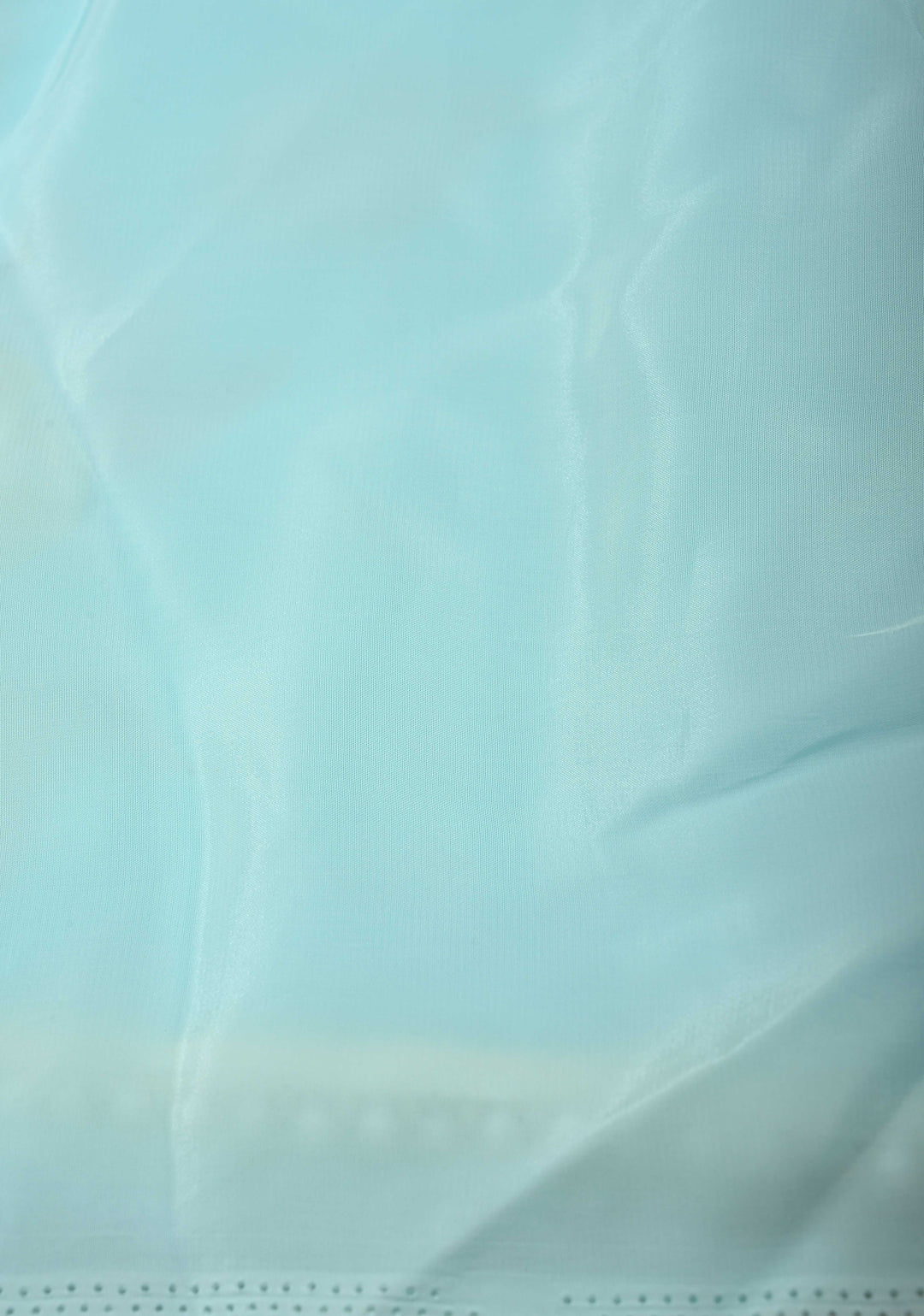 Powder Blue Modal Silk Saree with Floral Hand Painted and delicate pearl bead edging | SHOBITAM