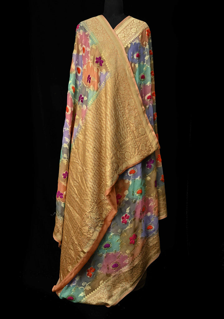 Multicolor Rangkaat brush Dye Design Banarasi Georgette Silk Saree with Velvet Floral Jaal Embossed oattern with Zari Border| SILK MARK CERTIFIED | SHOBITAM