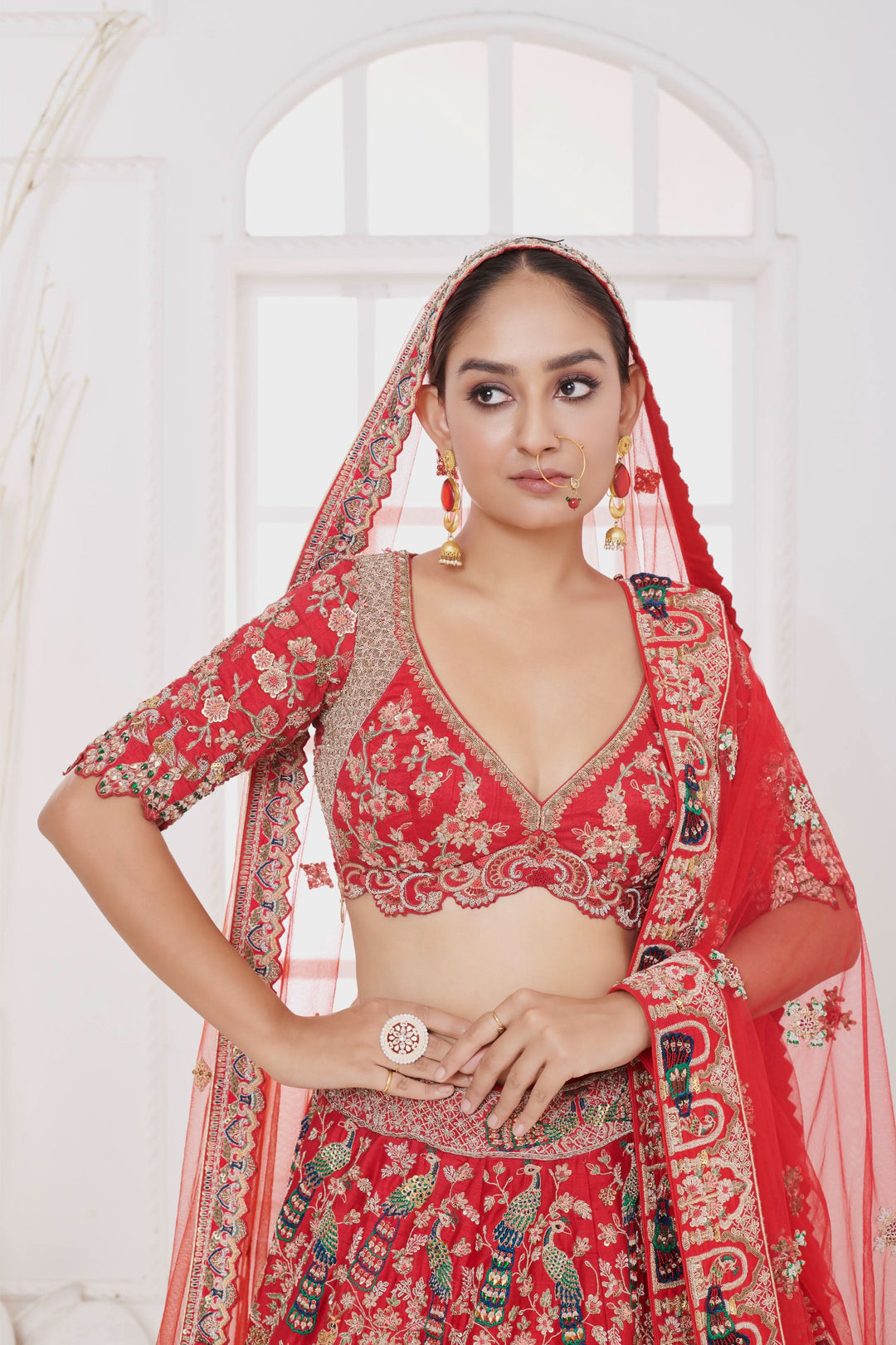 Crimson Mirage Raw Silk Lehenga with Elephant motifs, Customizable, Made to Order