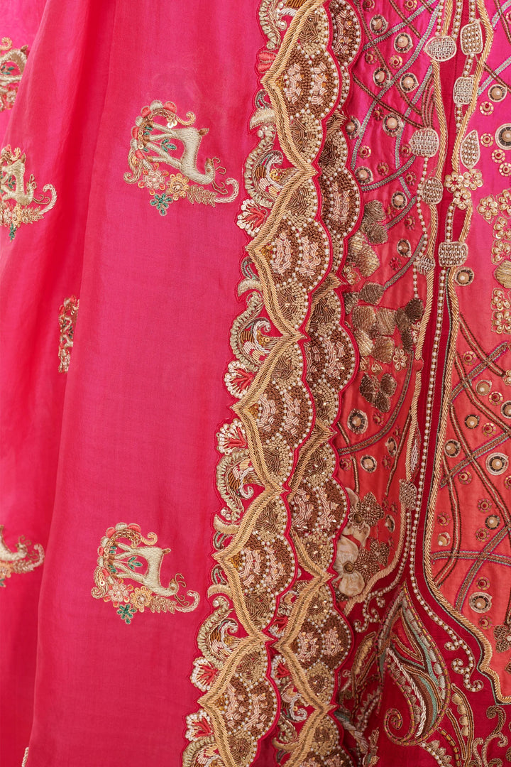 Rosaline Ombre Lehenga with embroidery, Customizable, Made to Order