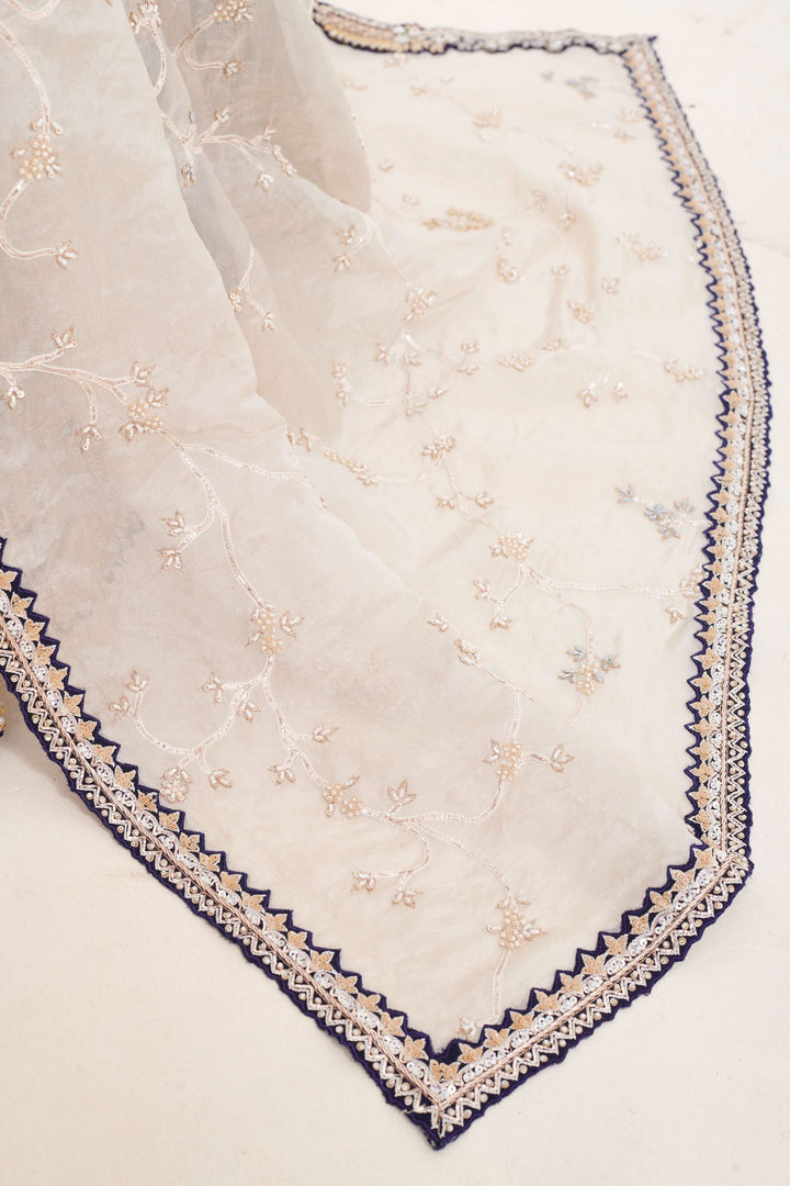 Noori Zardosi Lehenga with embroidery, Customizable, Made to Order
