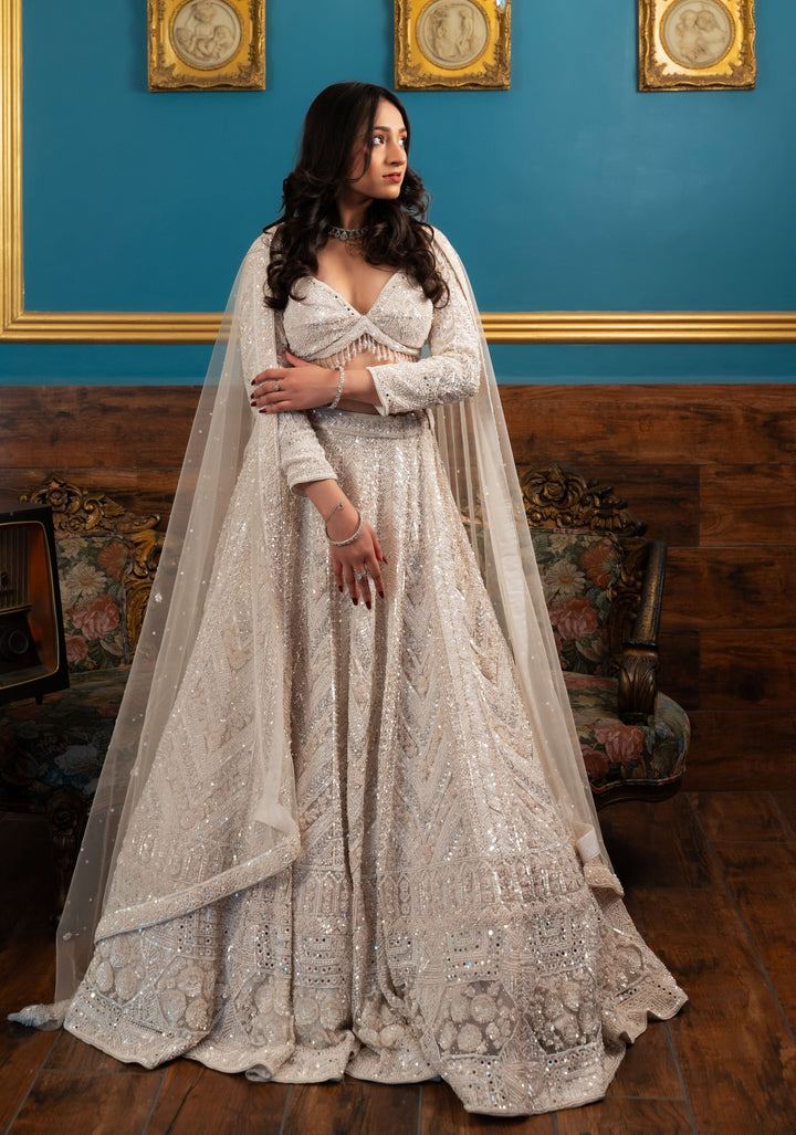 Exquisite Pearl White Dream Lehenga with handwork embellishments on Net, Customizable, Made to Order
