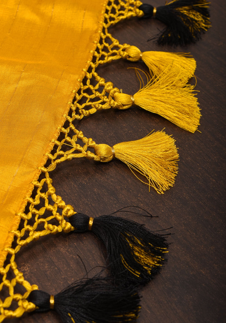 Black Exquisite Ikkat Handwoven Pure Pochampally Silk Saree | SILK MARK CERTIFIED