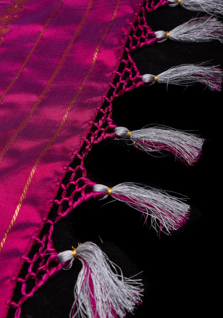 Blue Ikkat Kanjivaram Fusion Saree with Ikkat Panel Design and Paisley Motifs| SILK MARK CERTIFIED
