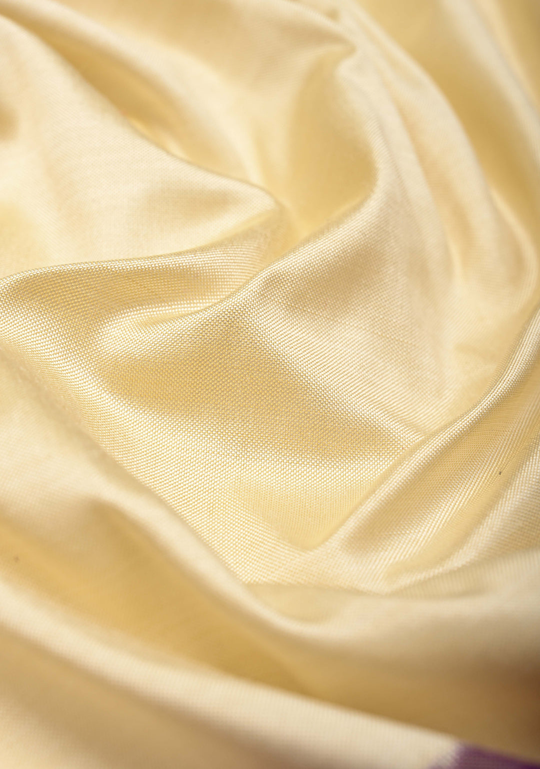 Cream Ikkat Pure Silk Saree with Ikkat Weave Birds Panel and Zari Border | SILK MARK CERTIFIED