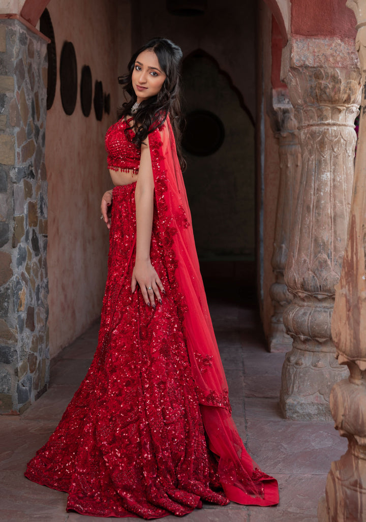 Exquisite Crimson Lehenga with hand-embroidery in Net, Customizable, Made to order