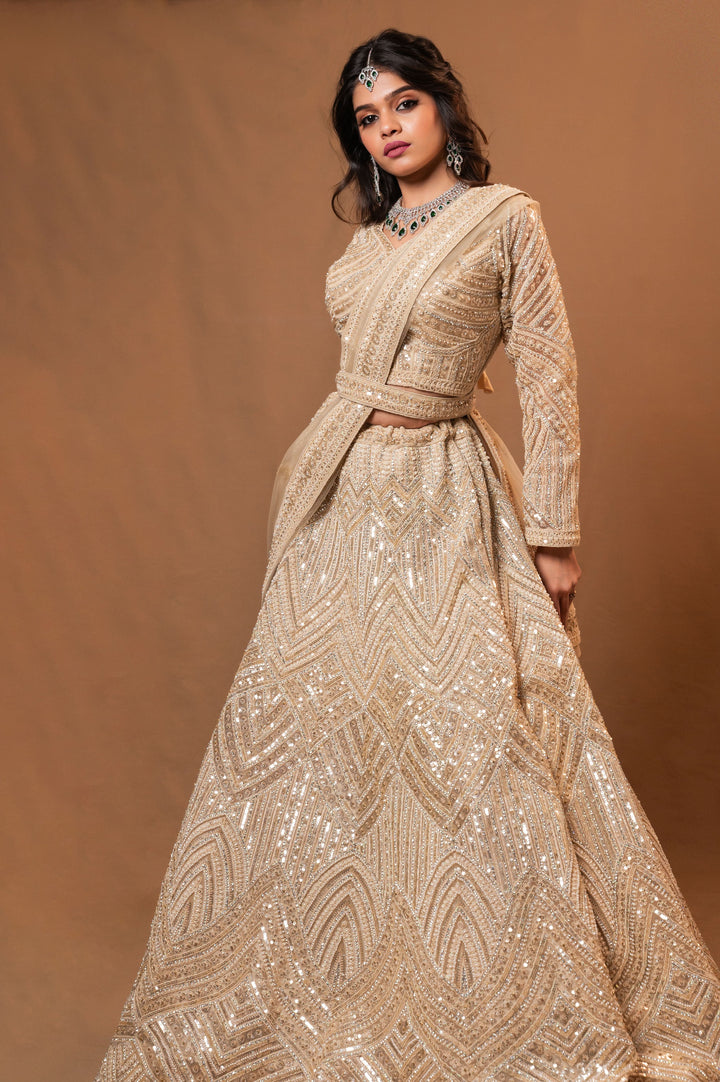 Moonlit Majesty Lehenga with embroidery, Customizable, Made to Order