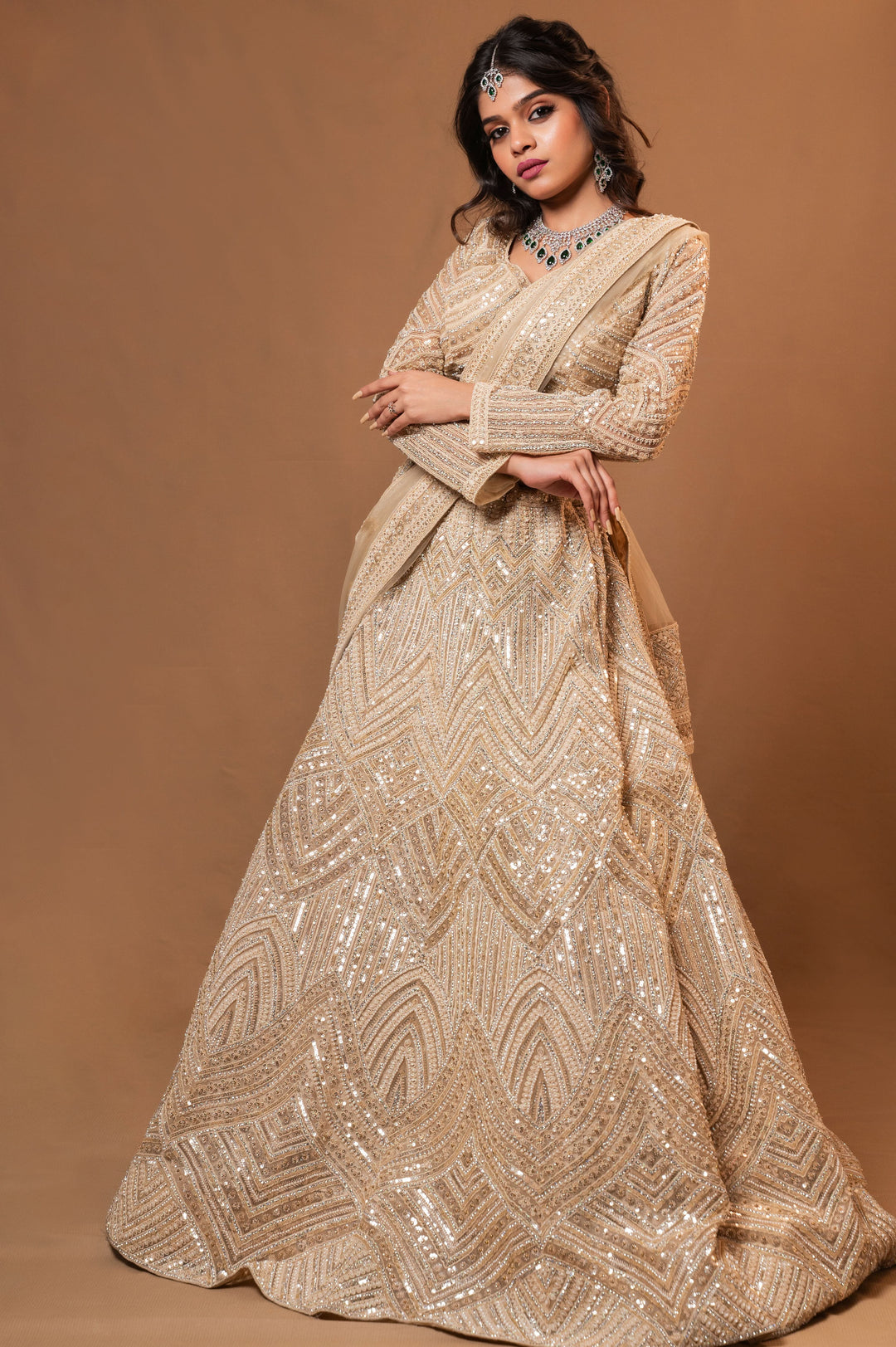 Moonlit Majesty Lehenga with embroidery, Customizable, Made to Order