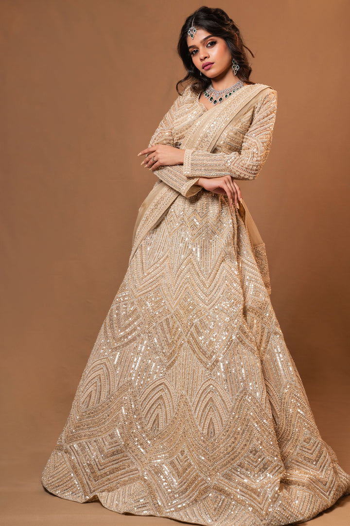 Moonlit Majesty Lehenga with embroidery, Customizable, Made to Order