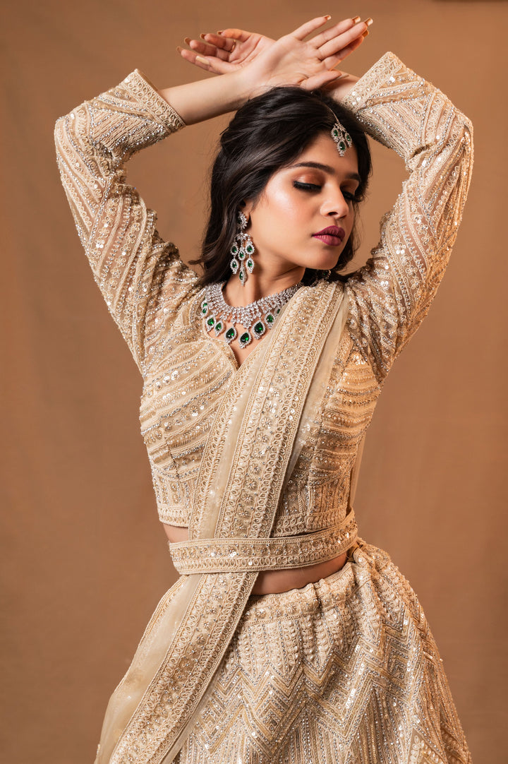 Moonlit Majesty Lehenga with embroidery, Customizable, Made to Order