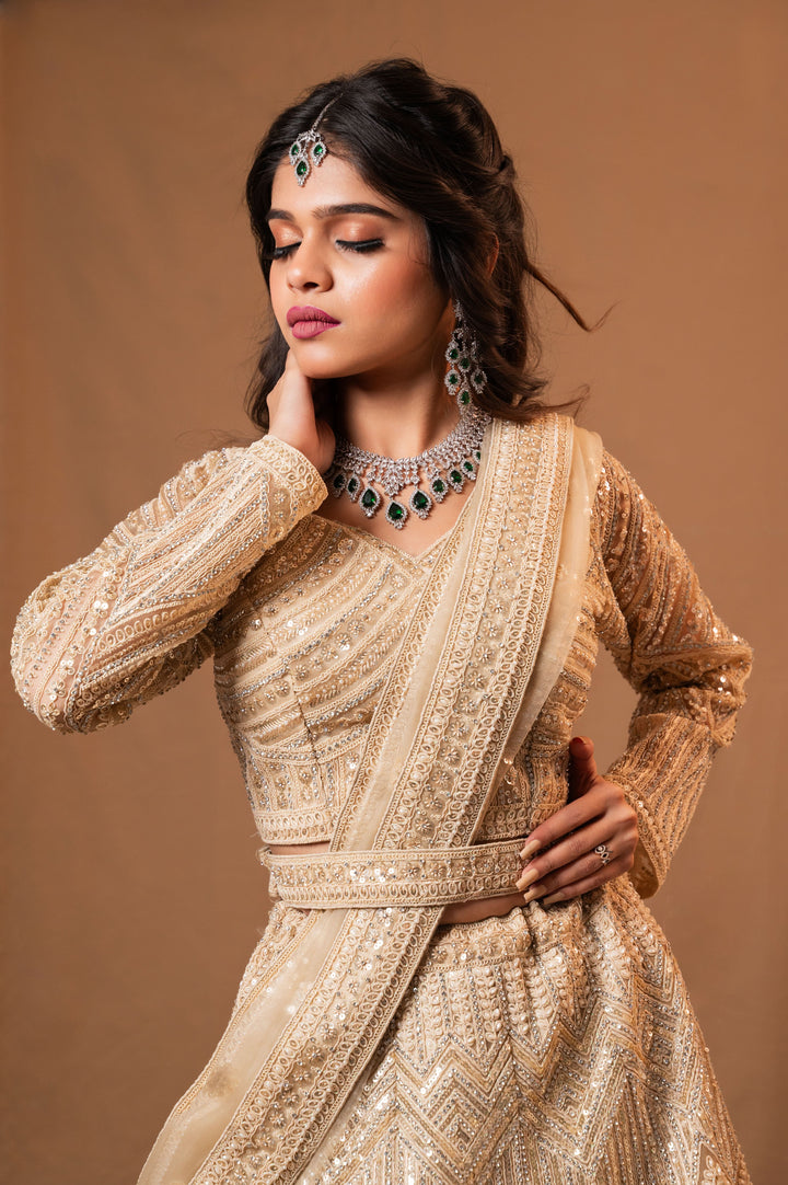 Moonlit Majesty Lehenga with embroidery, Customizable, Made to Order