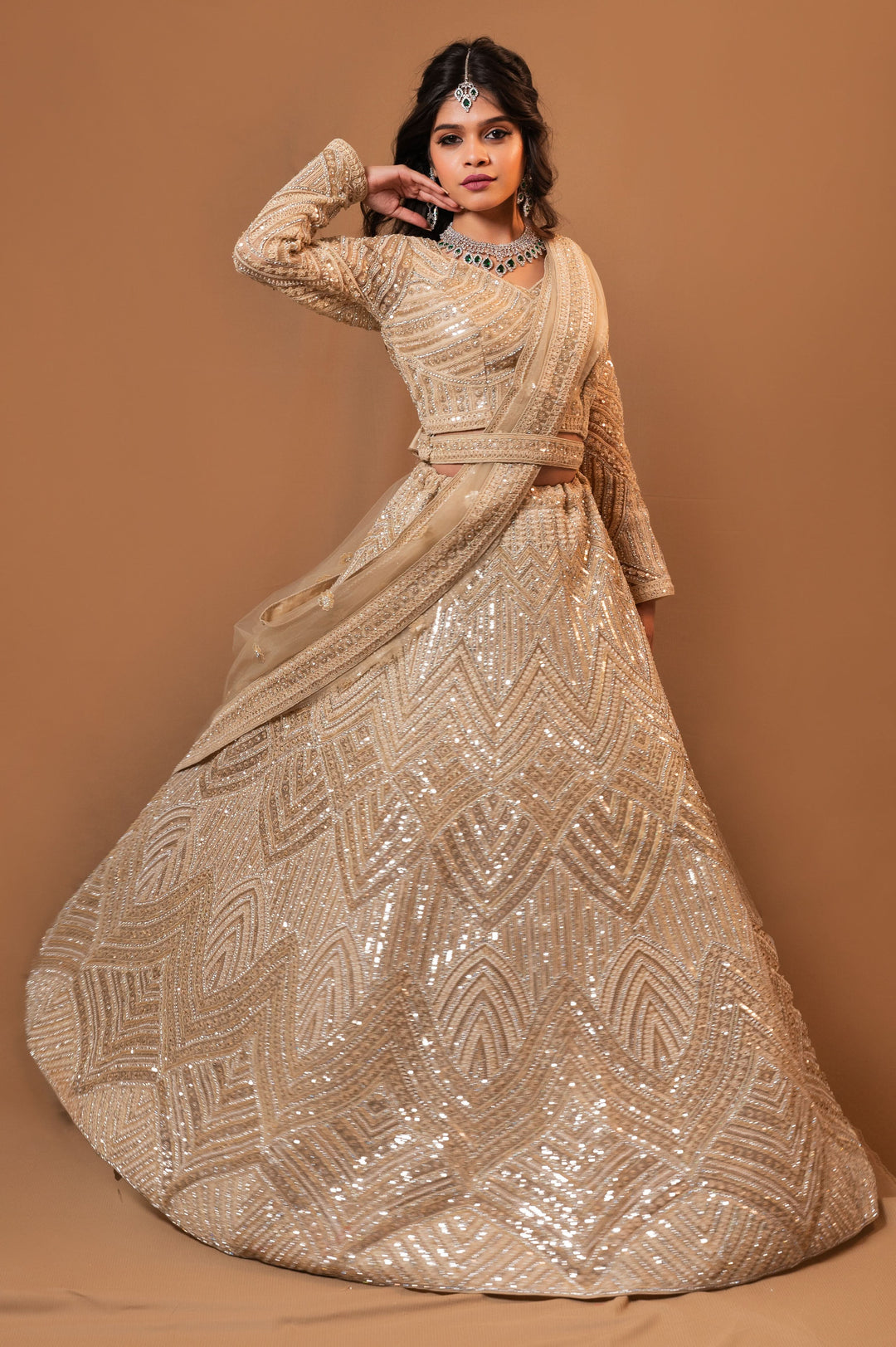 Moonlit Majesty Lehenga with embroidery, Customizable, Made to Order