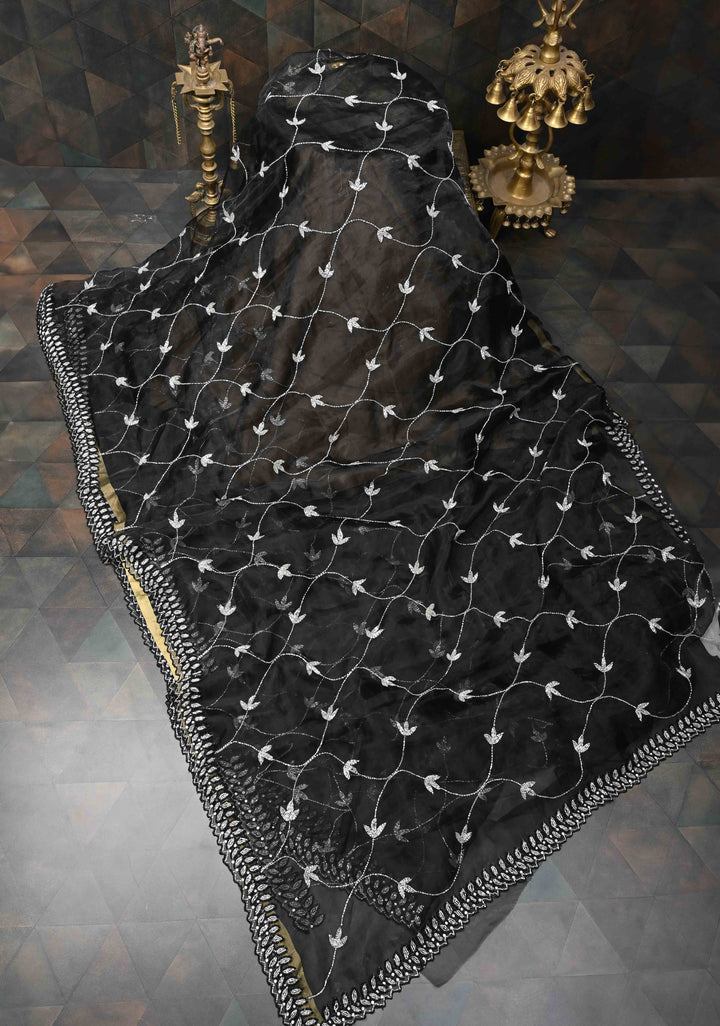 Cutdana Jaal on Black Organza  Saree