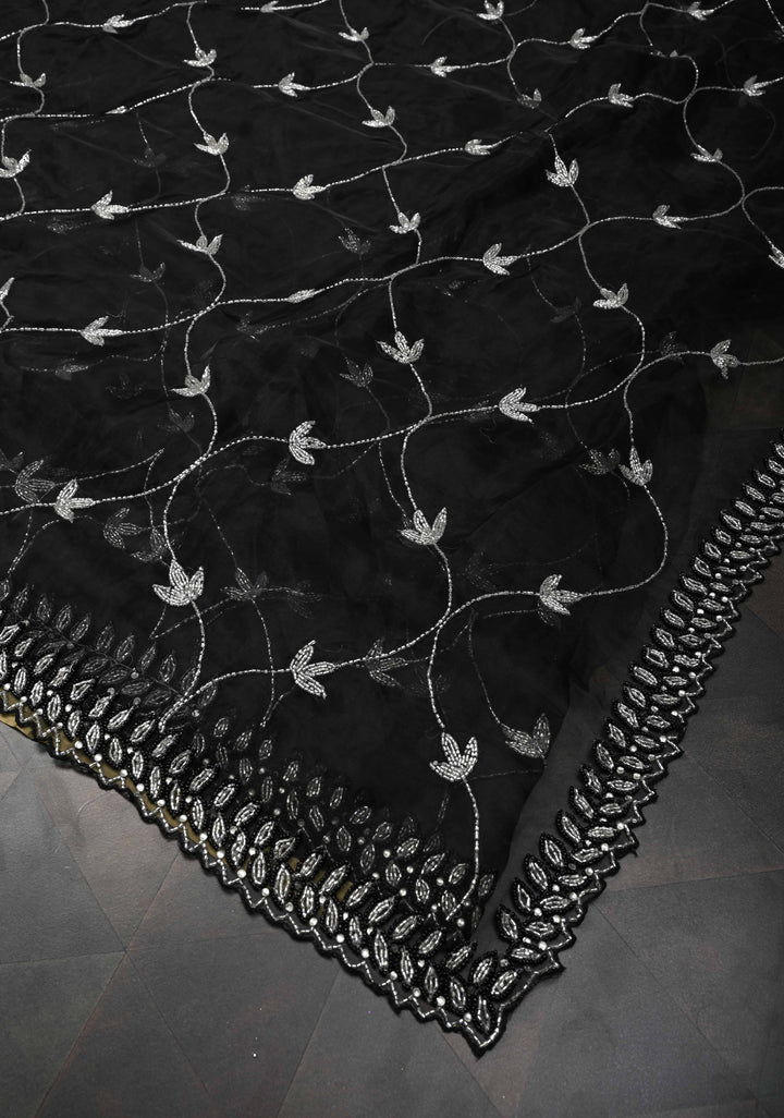 Cutdana Jaal on Black Organza  Saree
