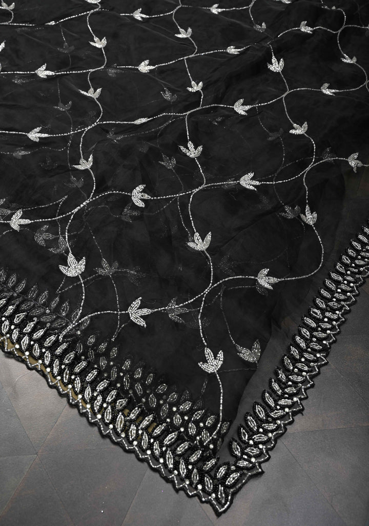 Cutdana Jaal on Black Organza  Saree