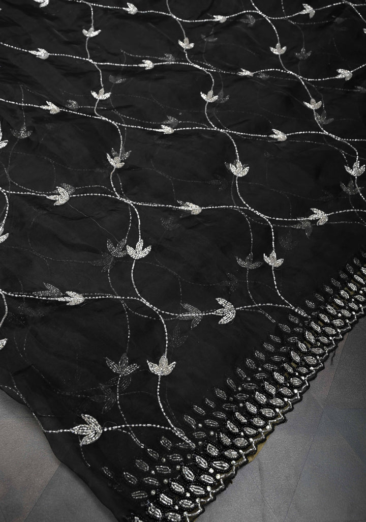 Cutdana Jaal on Black Organza  Saree