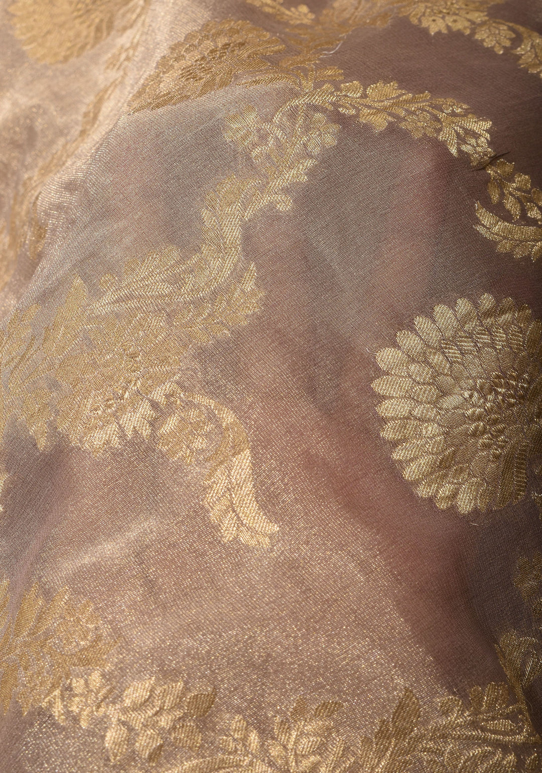 Tissue Mysore Silk Saree with Floral Jaal and Zari Border | SILK MARK CERTIFIED | SHOBITAM