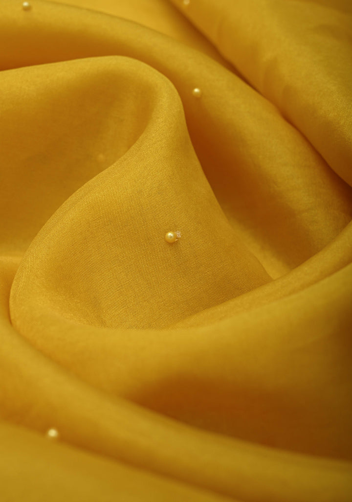 Mustard Yellow Moti work on Organza Saree with sequins, cutdana and Resham Hand Embroidery on Scallop Border