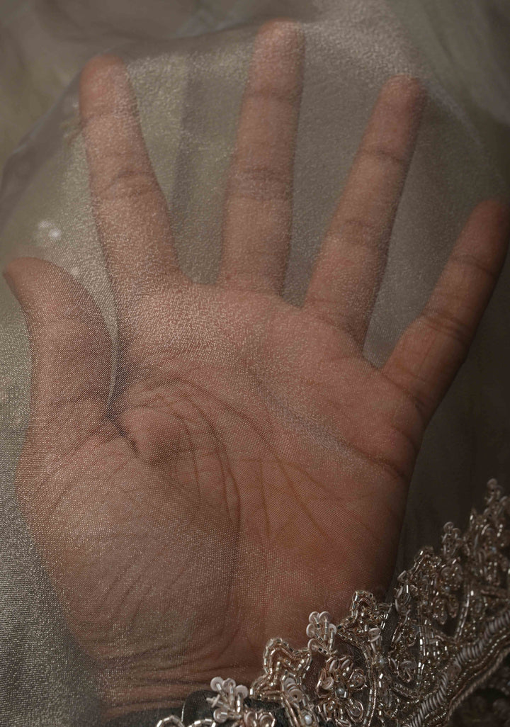 Gray Tissue Organza Saree with Sequins, Cutdana Work and Scallop Border