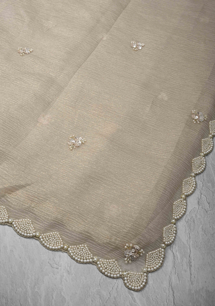Taupe Crushed Tissue Organza Saree with Sequins, Cutdana work and Moti Detailing Scallop Border