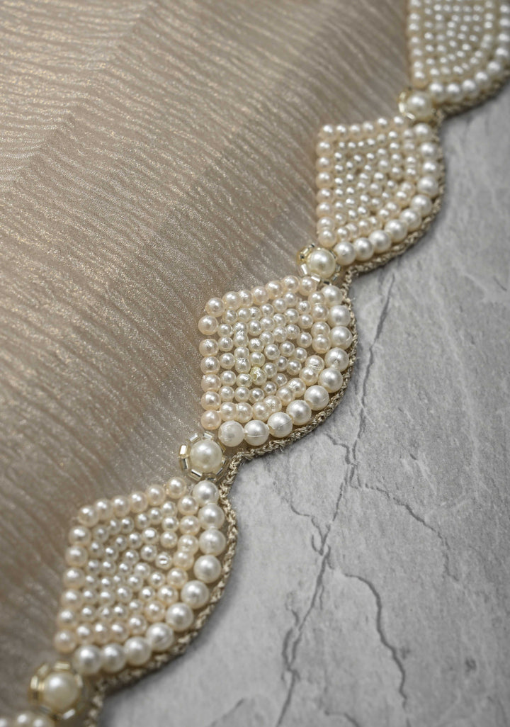 Taupe Crushed Tissue Organza Saree with Sequins, Cutdana work and Moti Detailing Scallop Border