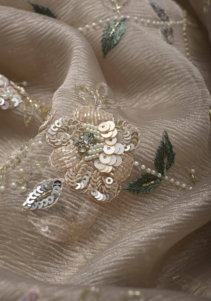 Champagne Hand Embroidery Jaal on Crushed Tissue Organza Saree with Sequins, Cutdana, Moti, Thread Detailing and Scallop Border