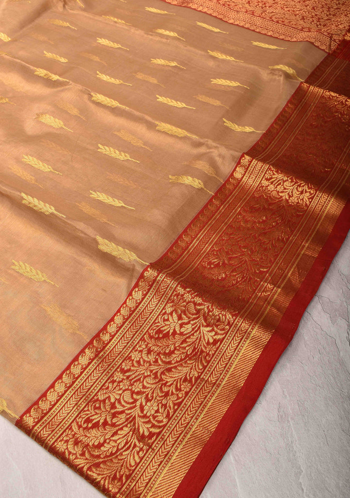 Beige Tissue Chanderi Silk Saree with Floral Buttas and Contrast Zari Borders