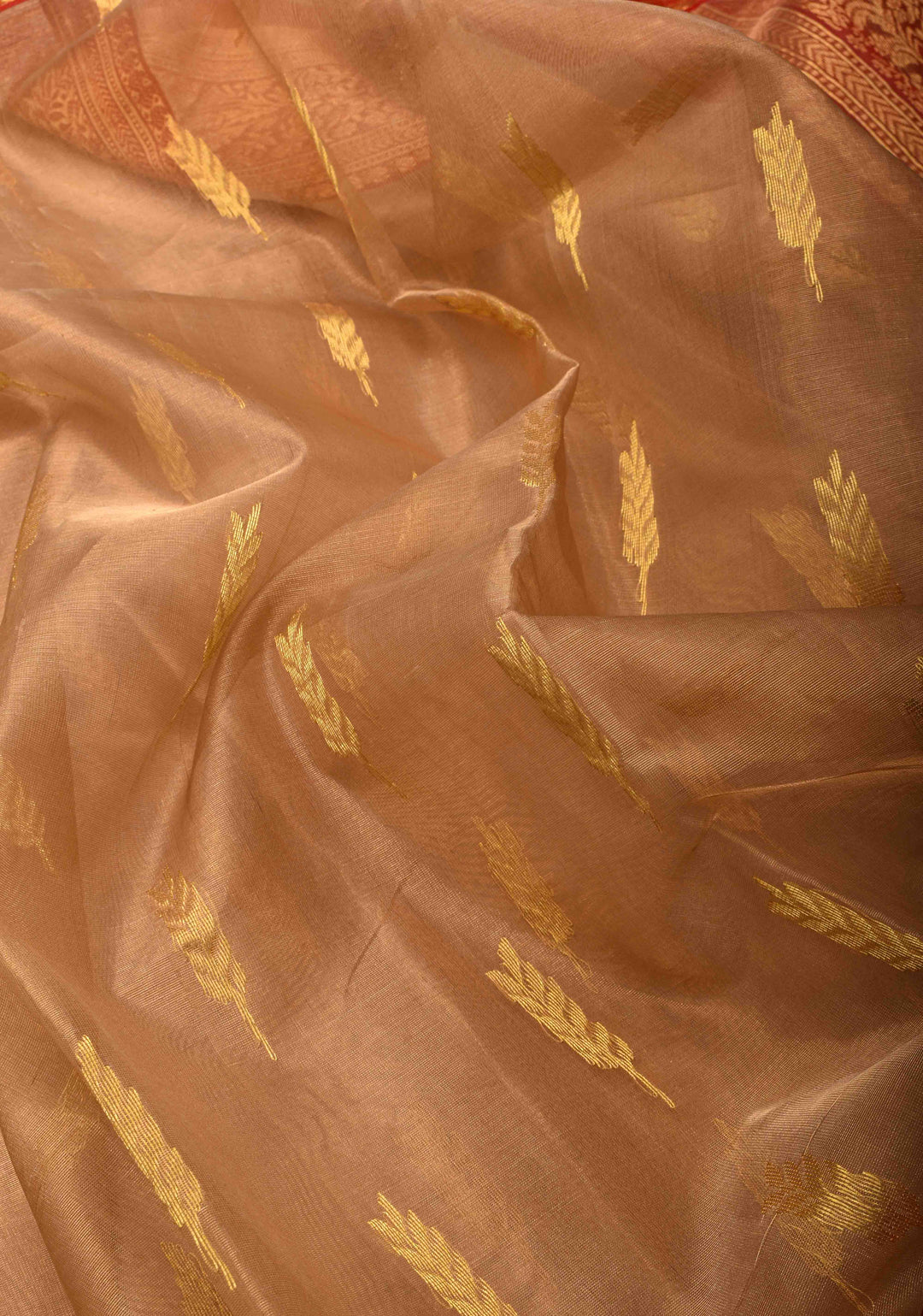 Beige Tissue Chanderi Silk Saree with Floral Buttas and Contrast Zari Borders