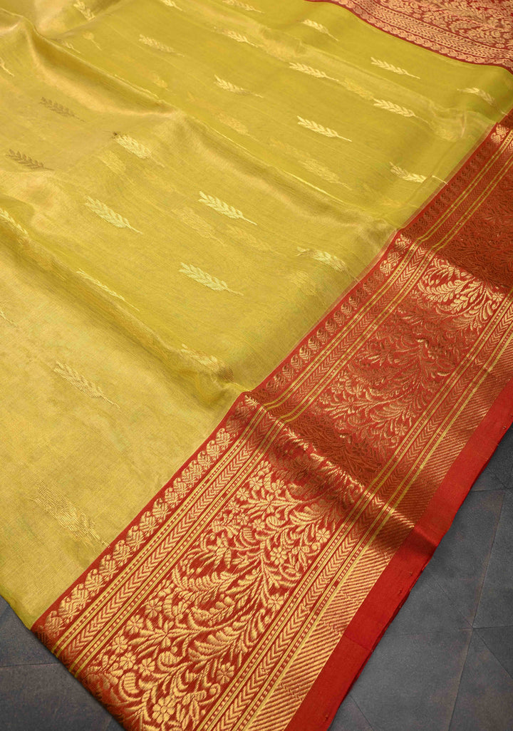 Moss Yellow  Chanderi Silk Saree with Floral Buttas and Contrast Zari Borders