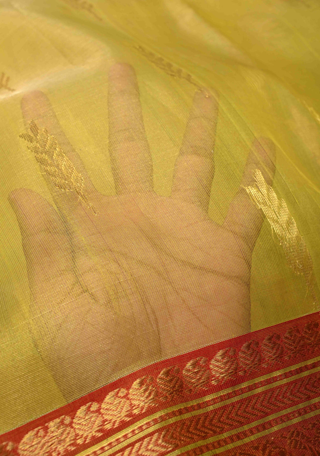 Moss Yellow  Chanderi Silk Saree with Floral Buttas and Contrast Zari Borders
