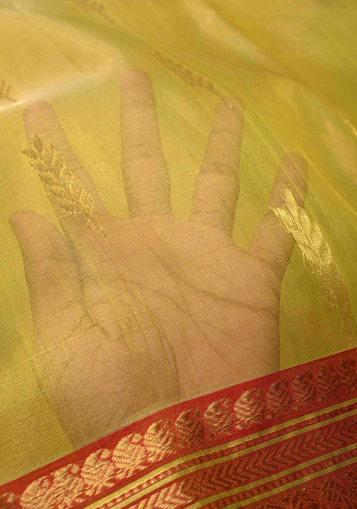 Moss Yellow  Chanderi Silk Saree with Floral Buttas and Contrast Zari Borders