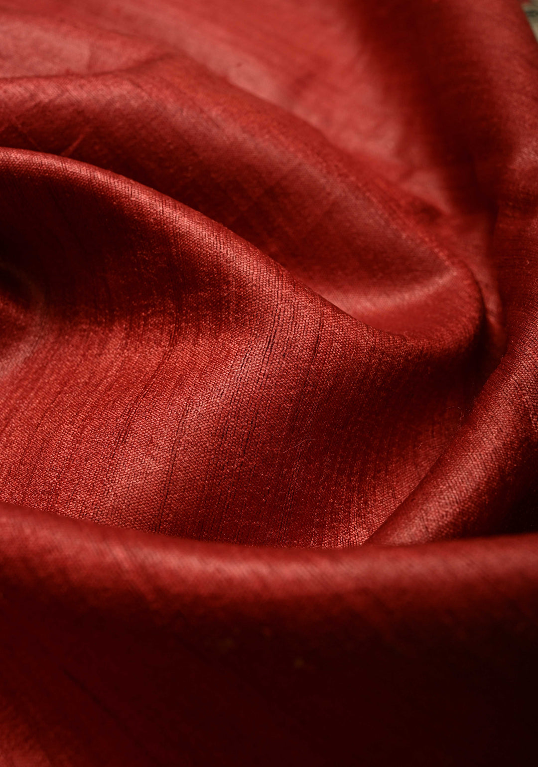 Red Handloom Tussar Silk saree with Hand Painted Madhubani Border | SILK MARK CERTIFIED